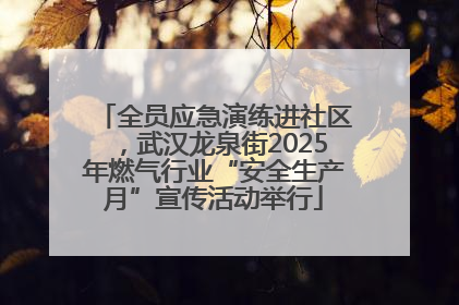 全员应急演练进社区，武汉龙泉街2025年燃气行业“安全生产月”宣传活动举行