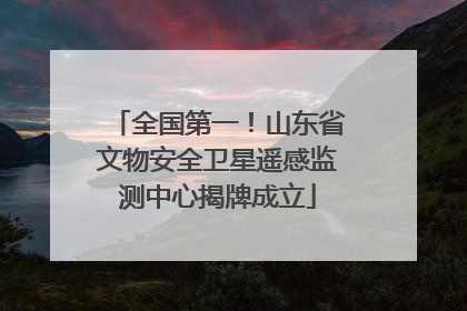 全国第一！山东省文物安全卫星遥感监测中心揭牌成立