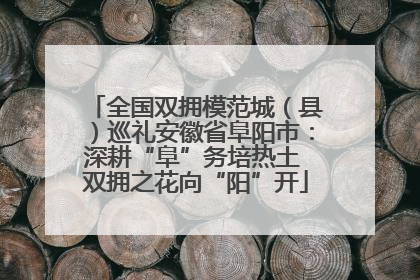 全国双拥模范城（县）巡礼安徽省阜阳市：深耕“阜”务培热土 双拥之花向“阳”开