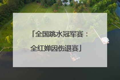 全国跳水冠军赛：全红婵因伤退赛