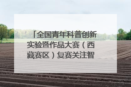 全国青年科普创新实验暨作品大赛（西藏赛区）复赛关注智慧环保等主题