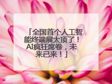 全国首个人工智能终端展太顶了！AI疯狂席卷，未来已来！