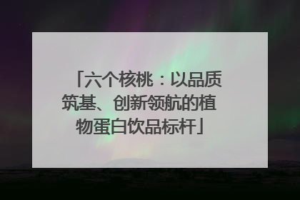 六个核桃：以品质筑基、创新领航的植物蛋白饮品标杆