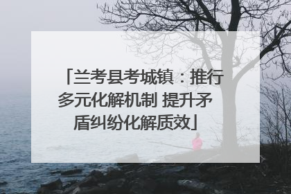 兰考县考城镇：推行多元化解机制 提升矛盾纠纷化解质效