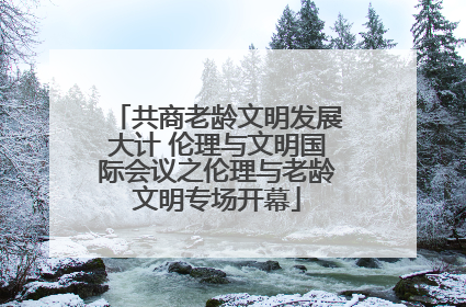 共商老龄文明发展大计 伦理与文明国际会议之伦理与老龄文明专场开幕