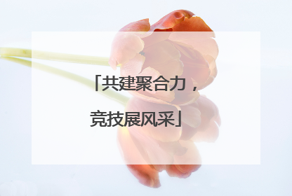 共建聚合力，竞技展风采