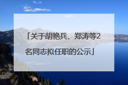关于胡艳兵、郑涛等2名同志拟任职的公示