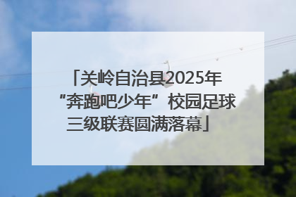 关岭自治县2025年“奔跑吧少年”校园足球三级联赛圆满落幕