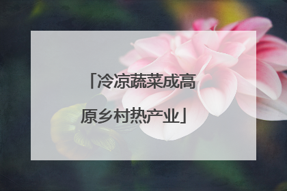 冷凉蔬菜成高原乡村热产业