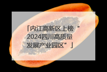 内江高新区上榜“2024四川高质量发展产业园区”