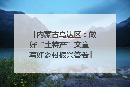 内蒙古乌达区：做好“土特产”文章 写好乡村振兴答卷