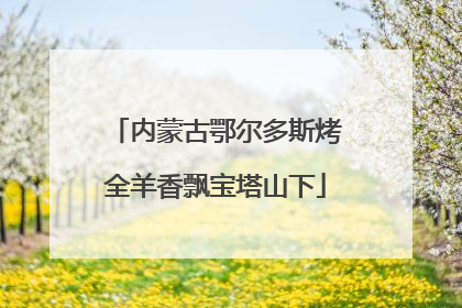 内蒙古鄂尔多斯烤全羊香飘宝塔山下