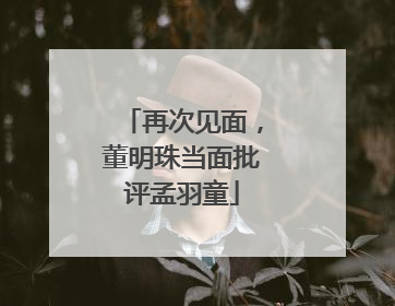 再次见面，董明珠当面批评孟羽童
