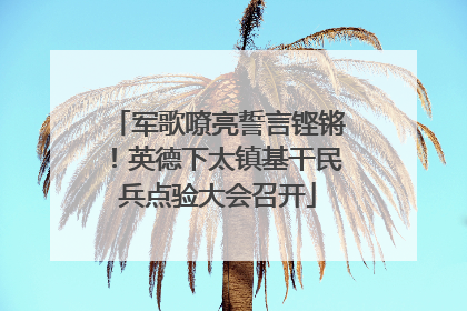 军歌嘹亮誓言铿锵！英德下太镇基干民兵点验大会召开