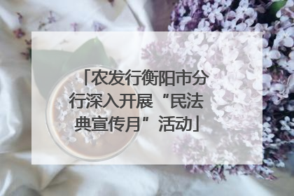 农发行衡阳市分行深入开展“民法典宣传月”活动