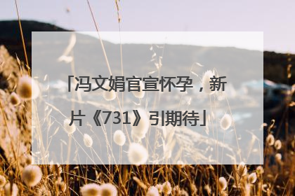 冯文娟官宣怀孕，新片《731》引期待