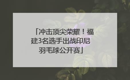 冲击顶尖荣耀！福建3名选手出战印尼羽毛球公开赛
