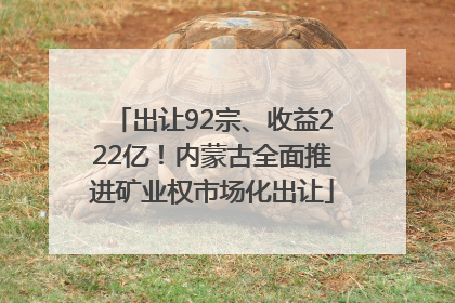 出让92宗、收益222亿！内蒙古全面推进矿业权市场化出让
