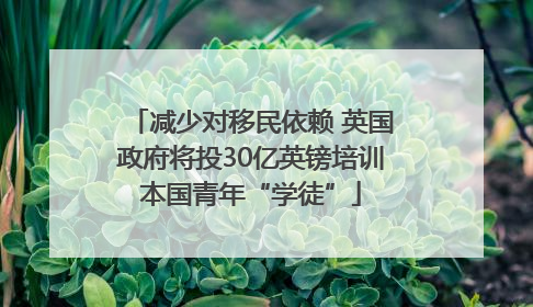 减少对移民依赖 英国政府将投30亿英镑培训本国青年“学徒”