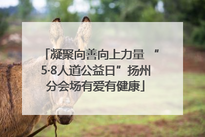 凝聚向善向上力量 “5·8人道公益日”扬州分会场有爱有健康