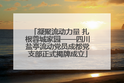 凝聚流动力量 扎根蓉城家园——四川盐亭流动党员成都党支部正式揭牌成立