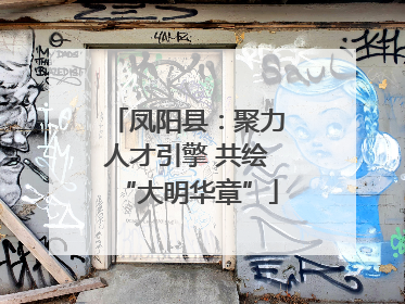 凤阳县：聚力人才引擎 共绘“大明华章”