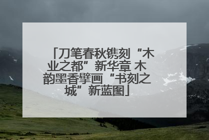 刀笔春秋镌刻“木业之都”新华章 木韵墨香擘画“书刻之城”新蓝图