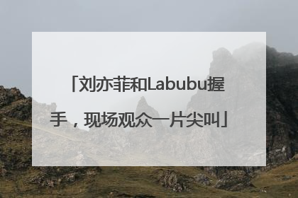刘亦菲和Labubu握手，现场观众一片尖叫