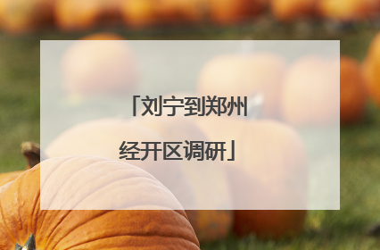 刘宁到郑州经开区调研