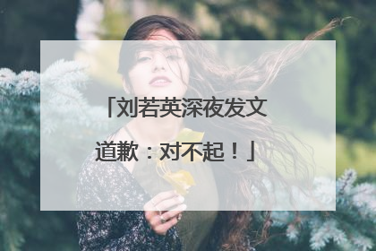 刘若英深夜发文道歉：对不起！