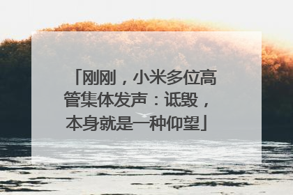 刚刚，小米多位高管集体发声：诋毁，本身就是一种仰望