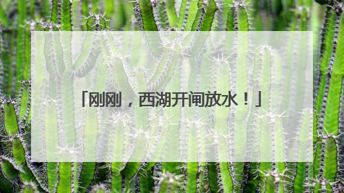 刚刚，西湖开闸放水！