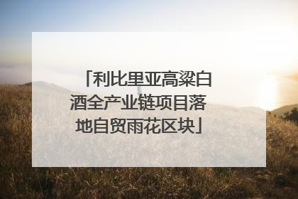 利比里亚高粱白酒全产业链项目落地自贸雨花区块