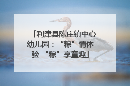 利津县陈庄镇中心幼儿园：“粽”情体验 “粽”享童趣