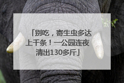 别吃，寄生虫多达上千条！一公园连夜清出130多斤