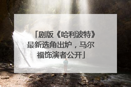 剧版《哈利波特》最新选角出炉，马尔福饰演者公开