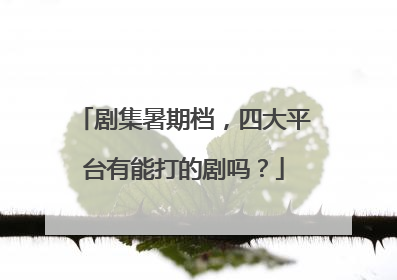 剧集暑期档，四大平台有能打的剧吗？