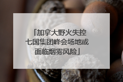 加拿大野火失控 七国集团峰会场地或面临烟雾风险