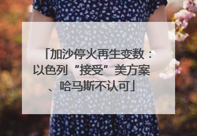 加沙停火再生变数：以色列“接受”美方案、哈马斯不认可