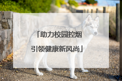 助力校园控烟 引领健康新风尚
