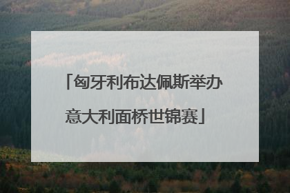 匈牙利布达佩斯举办意大利面桥世锦赛