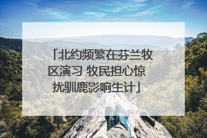 北约频繁在芬兰牧区演习 牧民担心惊扰驯鹿影响生计
