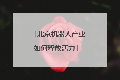 北京机器人产业如何释放活力