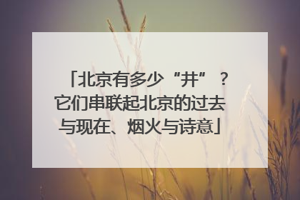 北京有多少“井”？它们串联起北京的过去与现在、烟火与诗意
