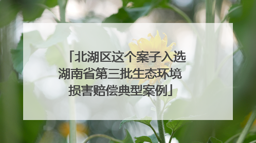 北湖区这个案子入选湖南省第三批生态环境损害赔偿典型案例