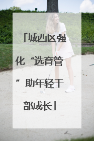 城西区强化“选育管”助年轻干部成长