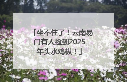 坐不住了！云南易门有人捡到2025年头水鸡枞！