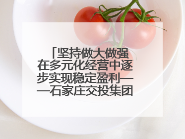 坚持做大做强 在多元化经营中逐步实现稳定盈利——石家庄交投集团做优做强典型报道之三