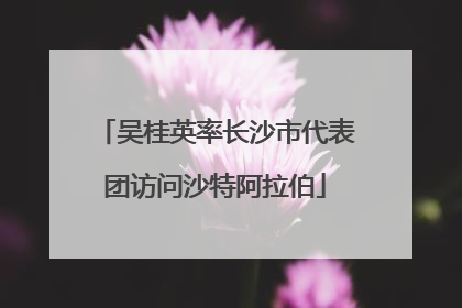 吴桂英率长沙市代表团访问沙特阿拉伯