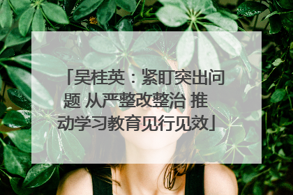 吴桂英：紧盯突出问题 从严整改整治 推动学习教育见行见效